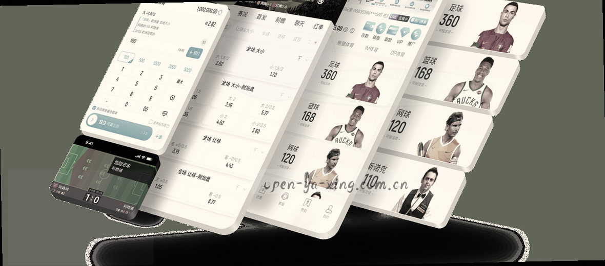 理性资料整理者的数据门户